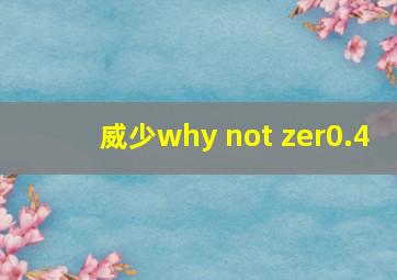 威少why not zer0.4